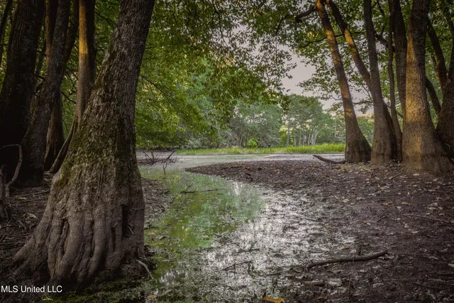 $239,400 | 0 Browning Road, Greenwood, MS 38930