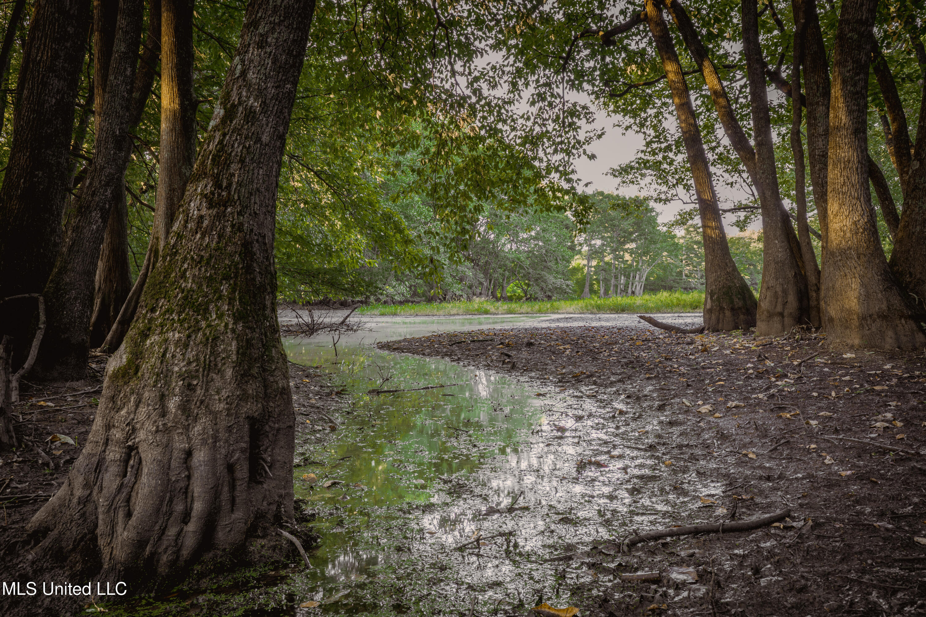 0 Browning Road Greenwood, MS 38930 - Photo 25 of 49 UNDER 15MB-Greenwood Ms-John Machost-24