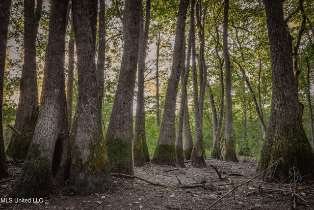 $239,400 | 0 Browning Road, Greenwood, MS 38930