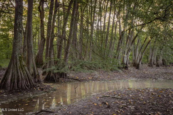 $239,400 | 0 Browning Road, Greenwood, MS 38930