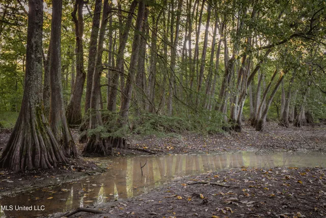 $239,400 | 0 Browning Road, Greenwood, MS 38930