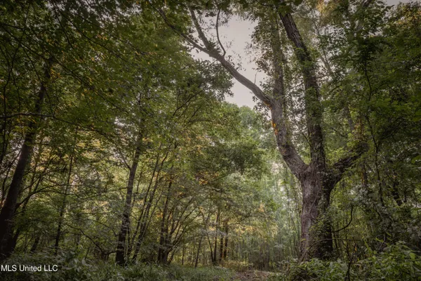 $239,400 | 0 Browning Road, Greenwood, MS 38930