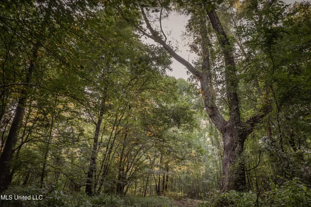 $239,400 | 0 Browning Road, Greenwood, MS 38930