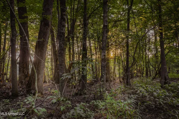 $239,400 | 0 Browning Road, Greenwood, MS 38930