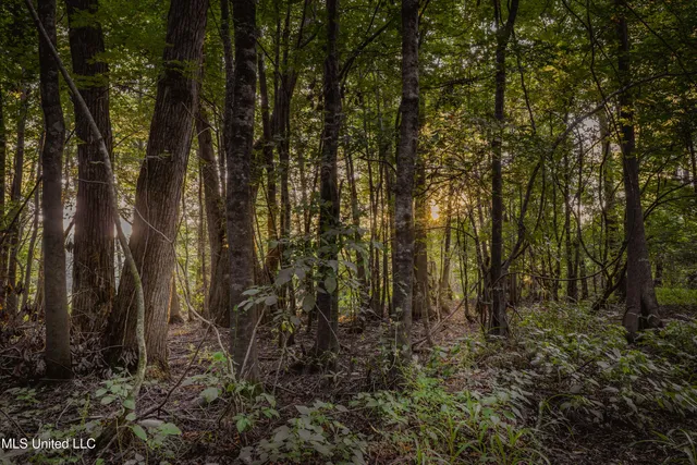 $239,400 | 0 Browning Road, Greenwood, MS 38930