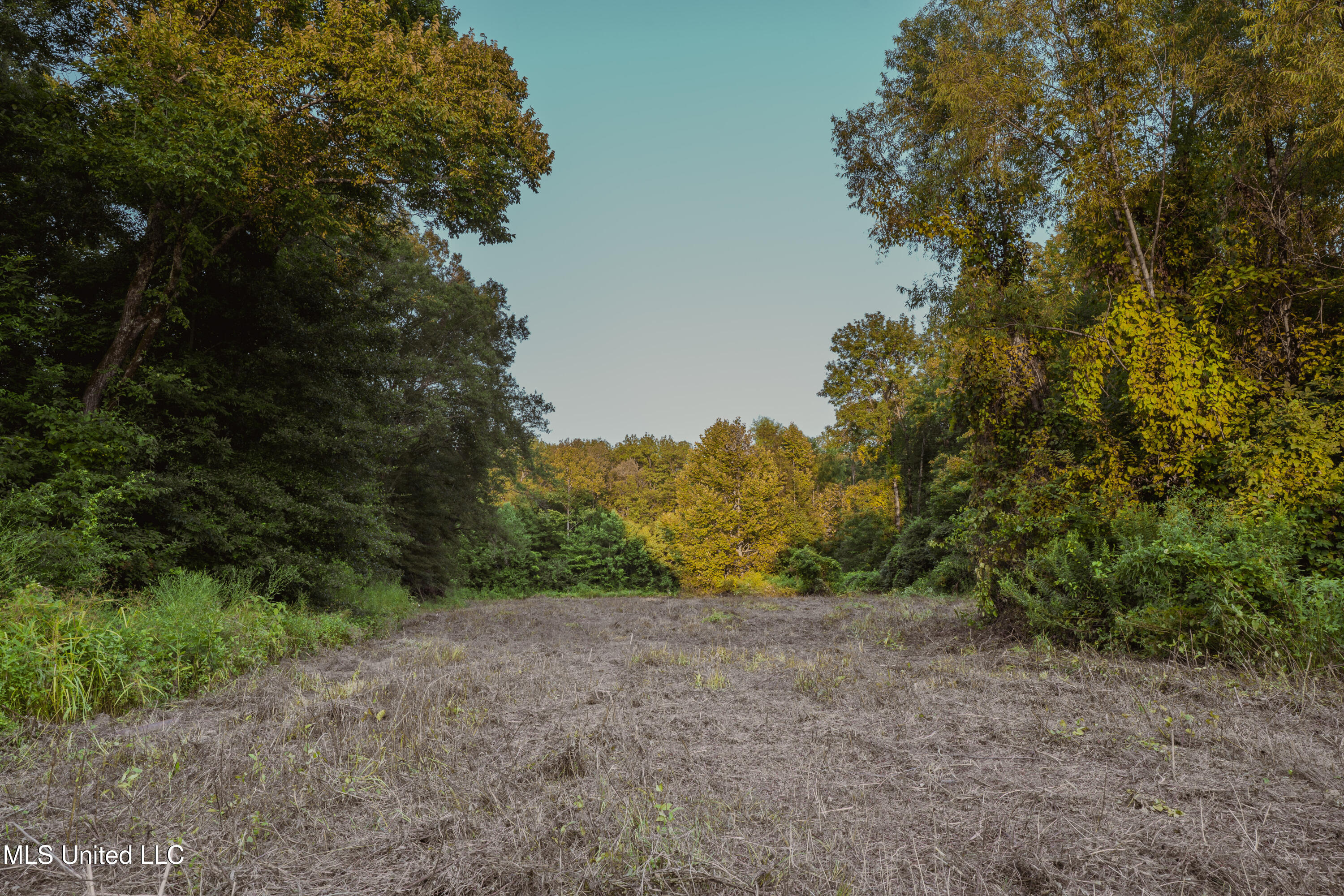0 Browning Road Greenwood, MS 38930 - Photo 30 of 49 UNDER 15MB-Greenwood Ms-John Machost-29