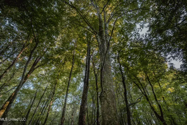 $239,400 | 0 Browning Road, Greenwood, MS 38930