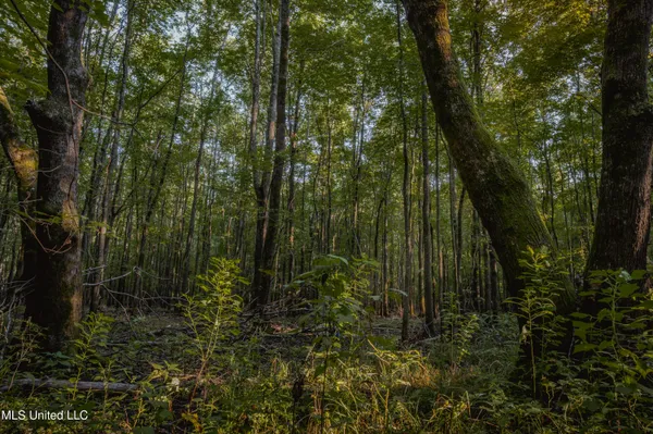 $239,400 | 0 Browning Road, Greenwood, MS 38930