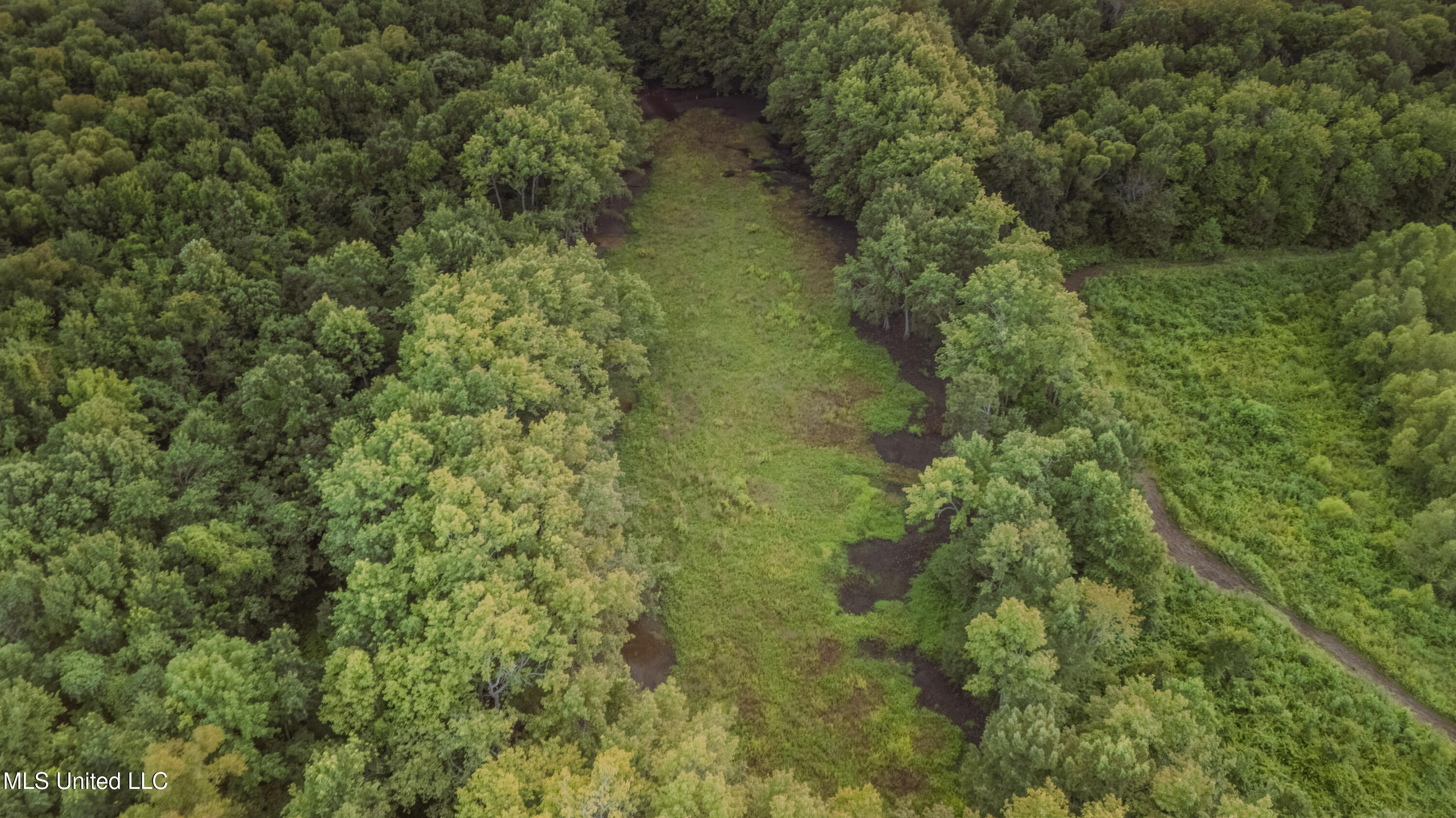 0 Browning Road Greenwood, MS 38930 - Photo 42 of 49 UNDER 15MB-Greenwood Ms-John Machost-41