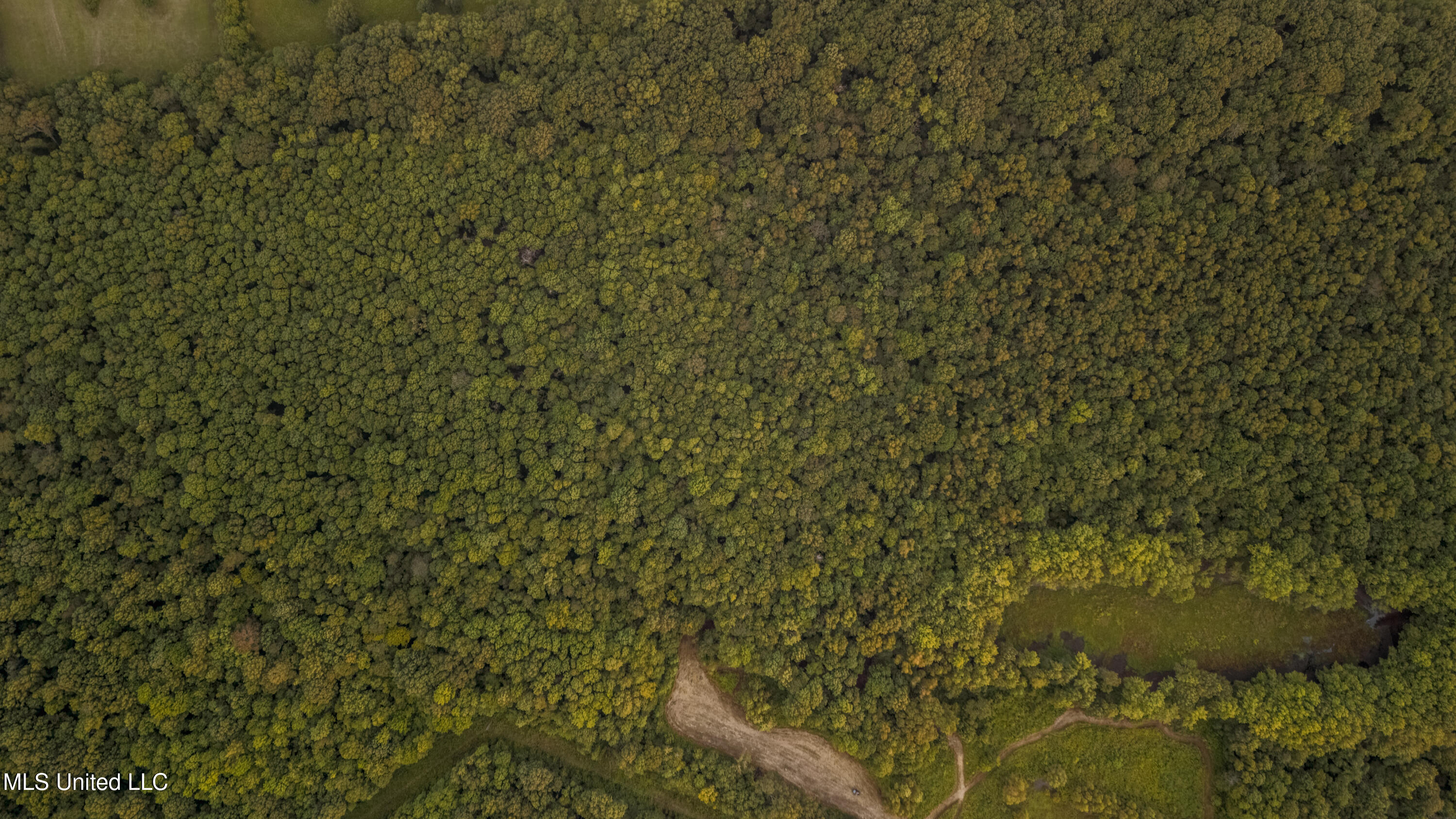 0 Browning Road Greenwood, MS 38930 - Photo 48 of 49 UNDER 15MB-Greenwood Ms-John Machost-47