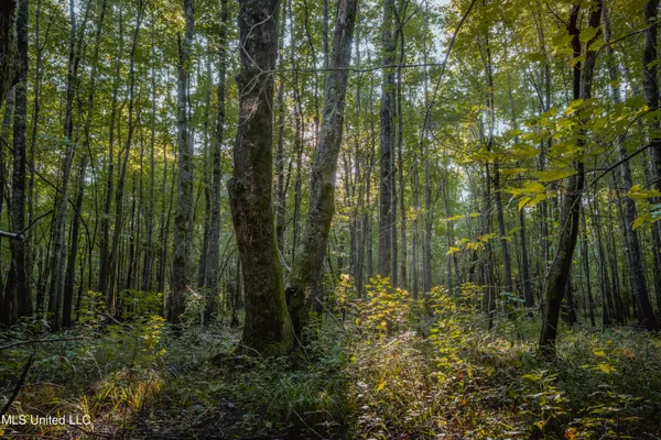 $239,400 | 0 Browning Road, Greenwood, MS 38930