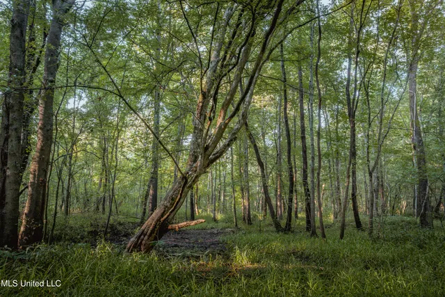 $239,400 | 0 Browning Road, Greenwood, MS 38930