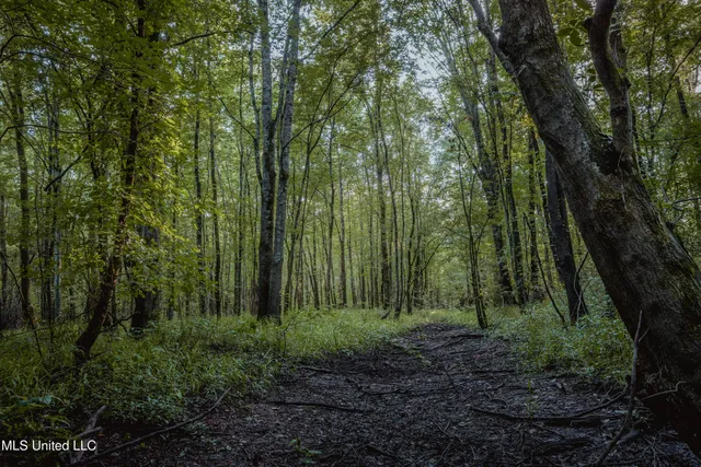 $239,400 | 0 Browning Road, Greenwood, MS 38930