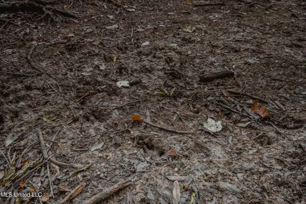 $239,400 | 0 Browning Road, Greenwood, MS 38930