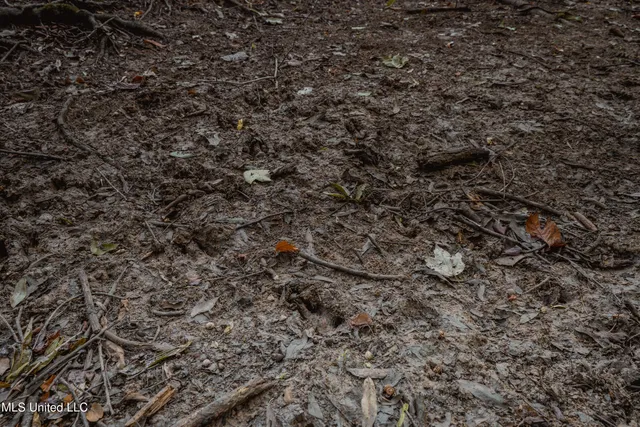 $239,400 | 0 Browning Road, Greenwood, MS 38930