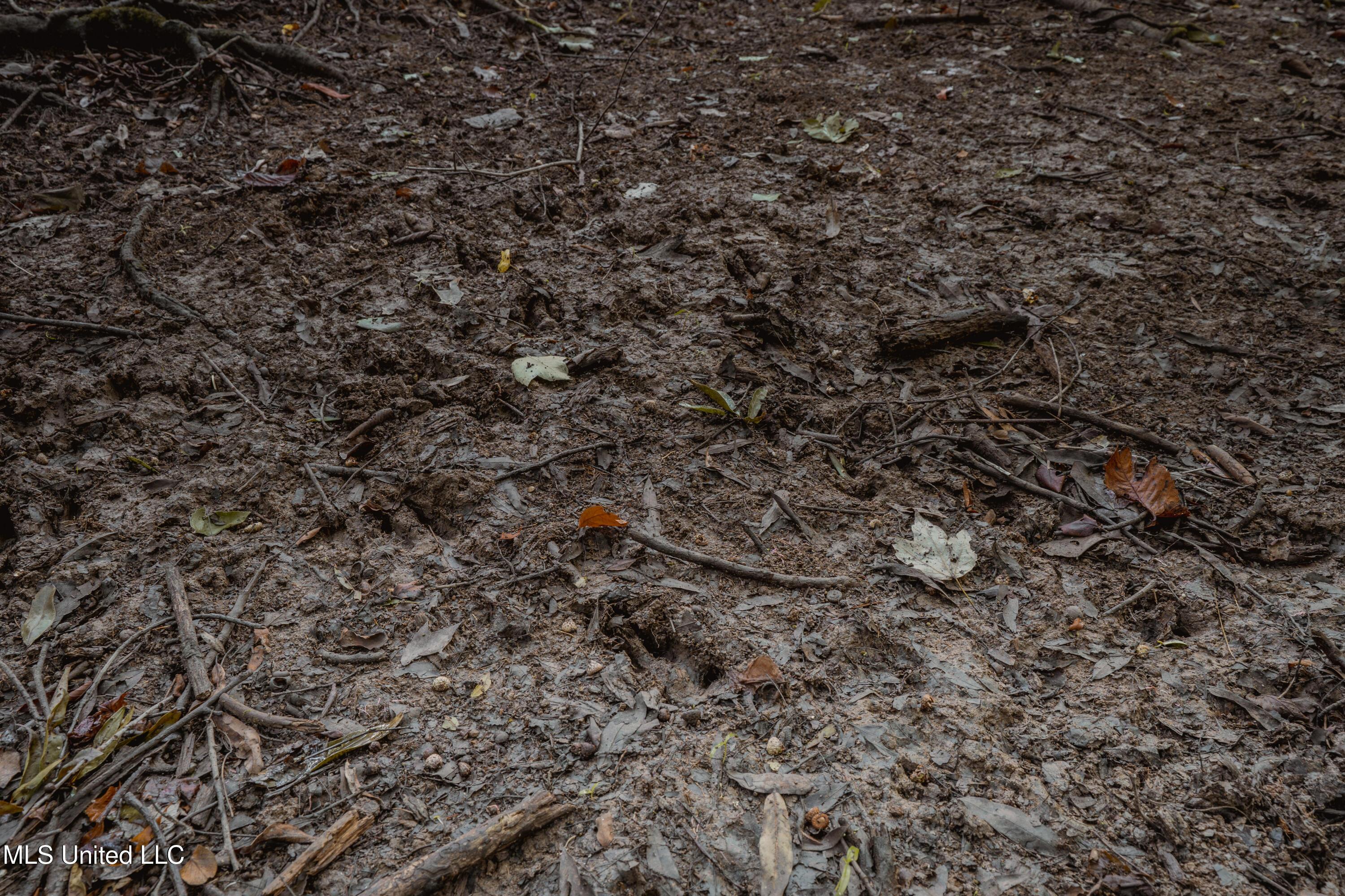 0 Browning Road Greenwood, MS 38930 - Photo 8 of 49 UNDER 15MB-Greenwood Ms-John Machost-07
