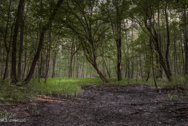 $239,400 | 0 Browning Road, Greenwood, MS 38930