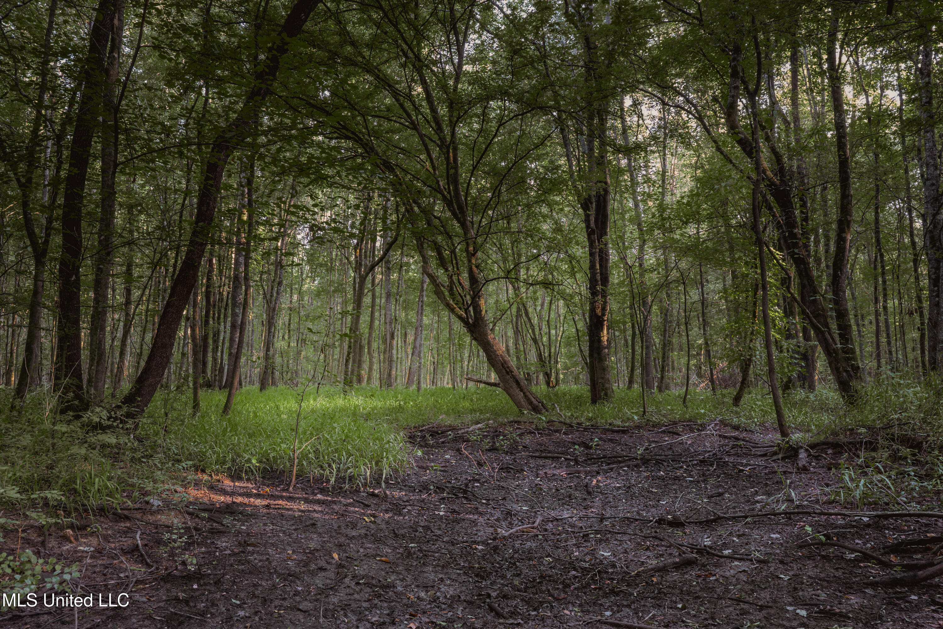 0 Browning Road Greenwood, MS 38930 - Photo 9 of 49 UNDER 15MB-Greenwood Ms-John Machost-08