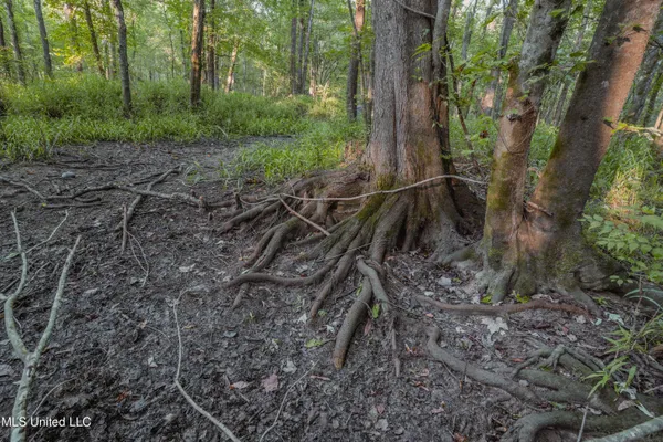 $239,400 | 0 Browning Road, Greenwood, MS 38930