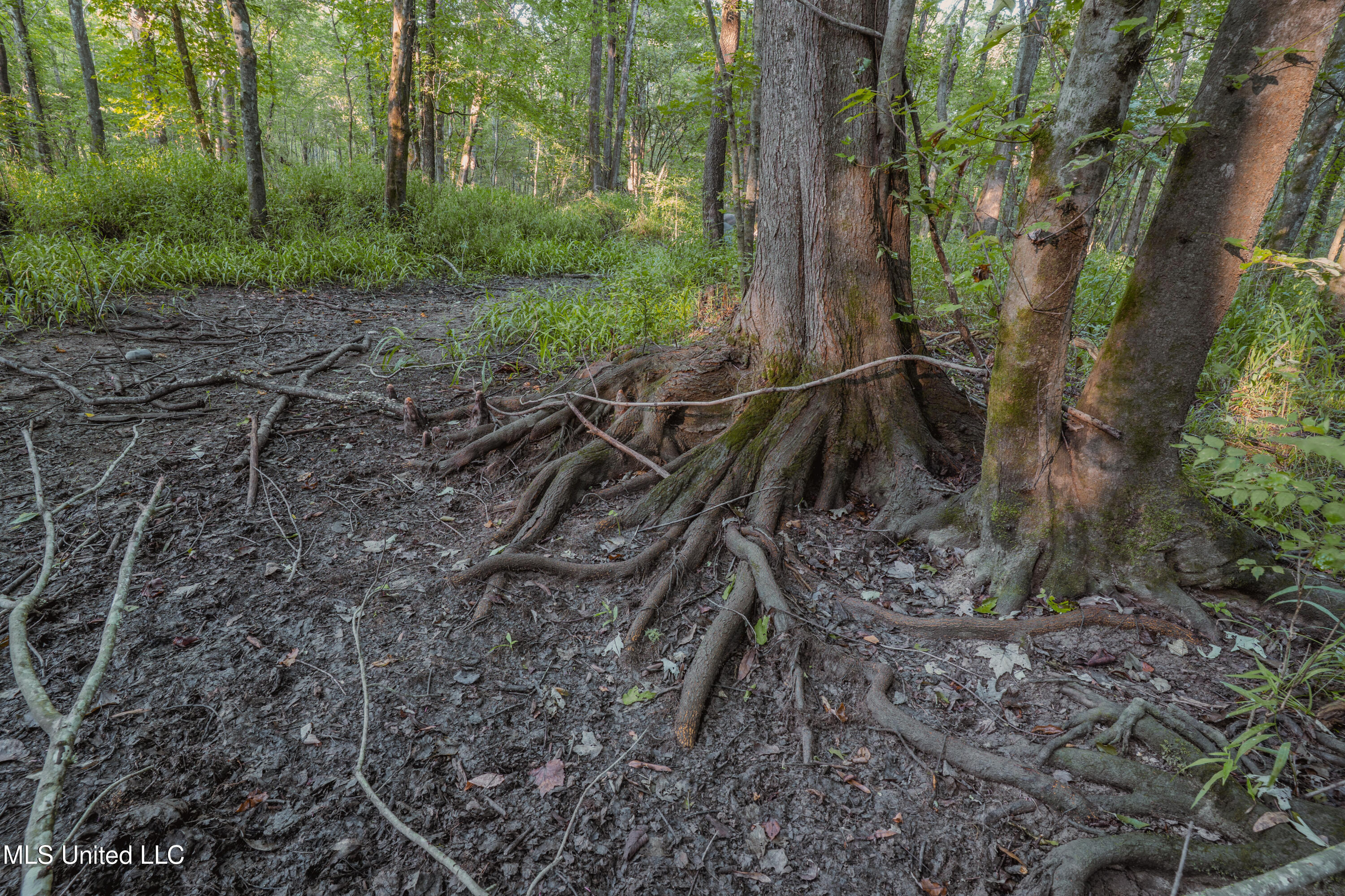 0 Browning Road Greenwood, MS 38930 - Photo 10 of 49 UNDER 15MB-Greenwood Ms-John Machost-09