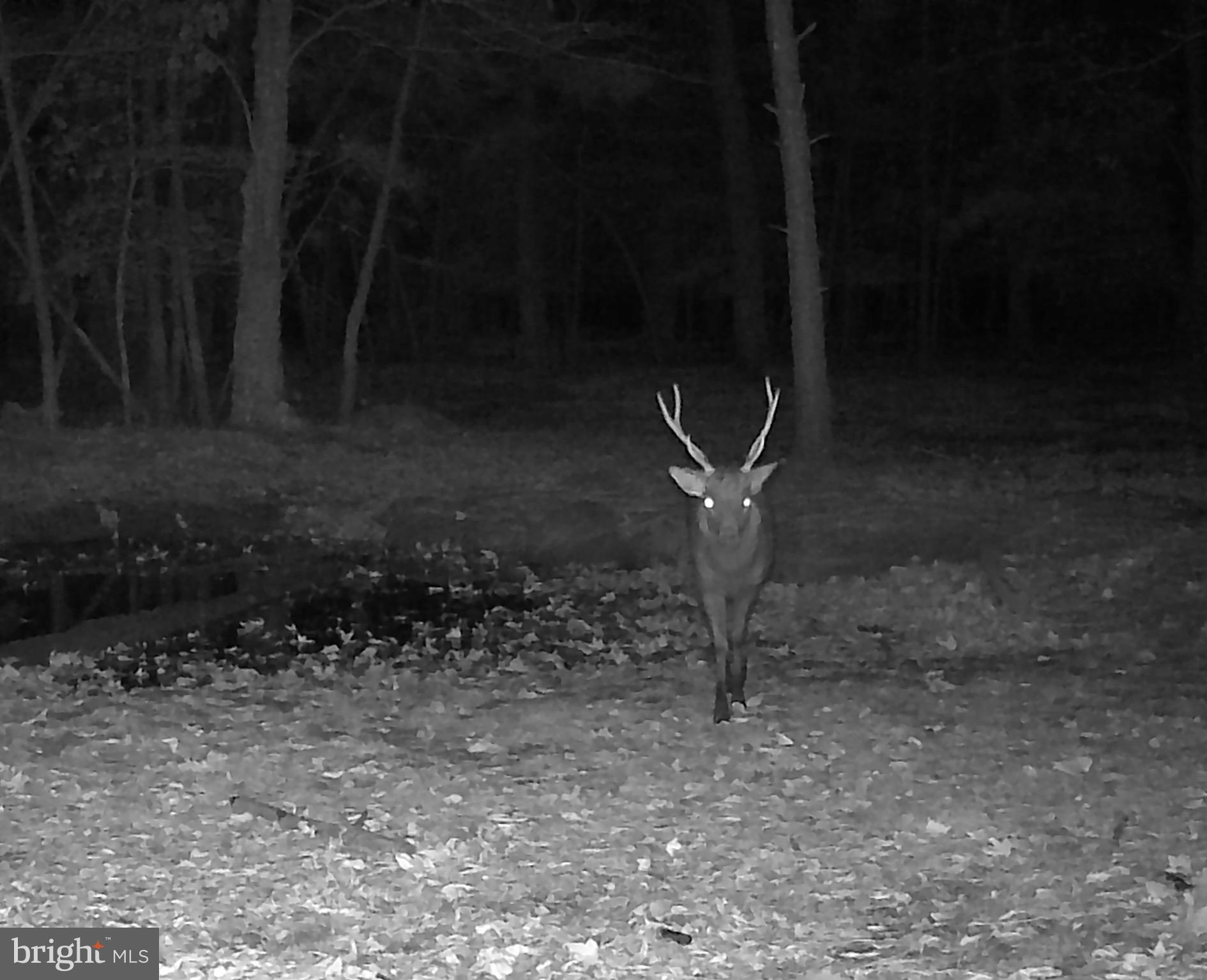 0 Hooper Neck Road Madison, MD 21648 - Photo 122 of 129