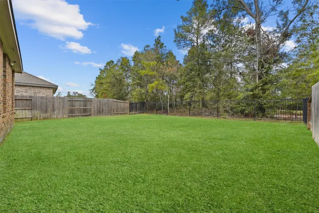 a view of yard with grass and trees