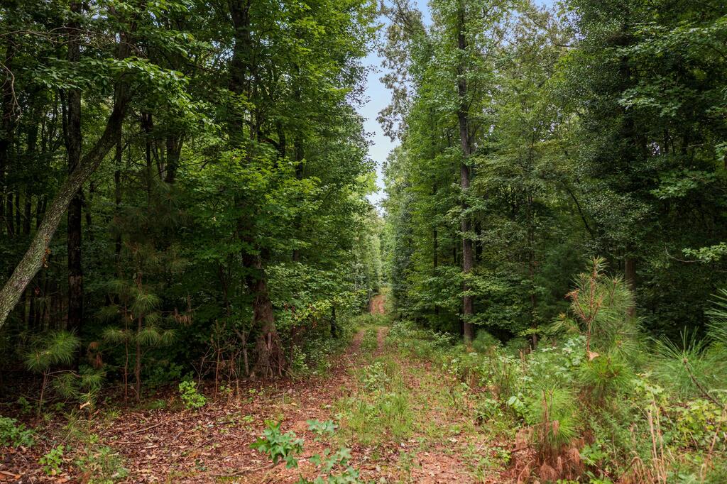 24 Fire Tower Road Abbeville, SC 29620 - Photo 9 of 10 Gallery Image 9
