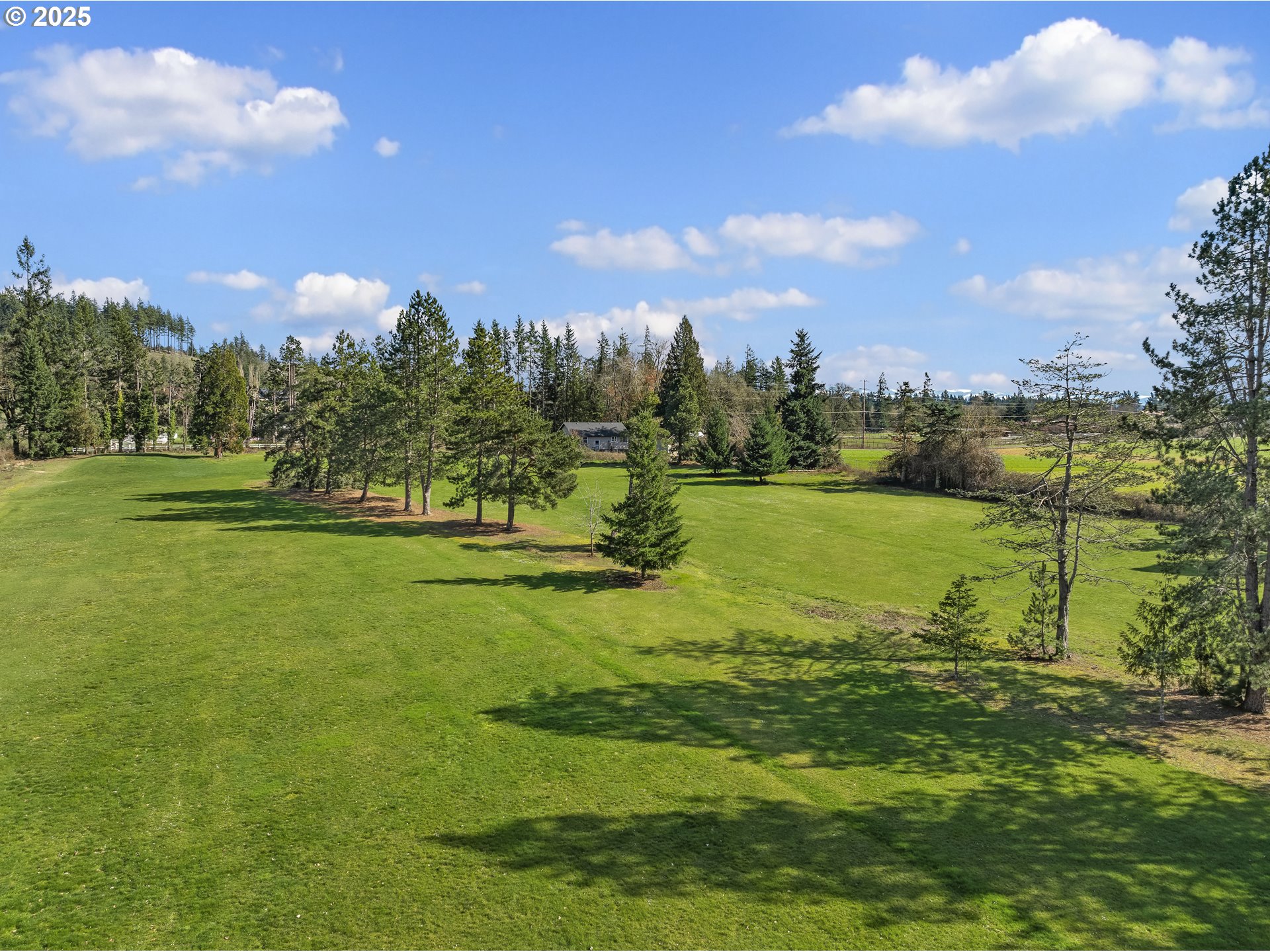 29435 Southwest Mountain Road West Linn, OR 97068 - Photo 12 of 48 a view of a golf course with a lake