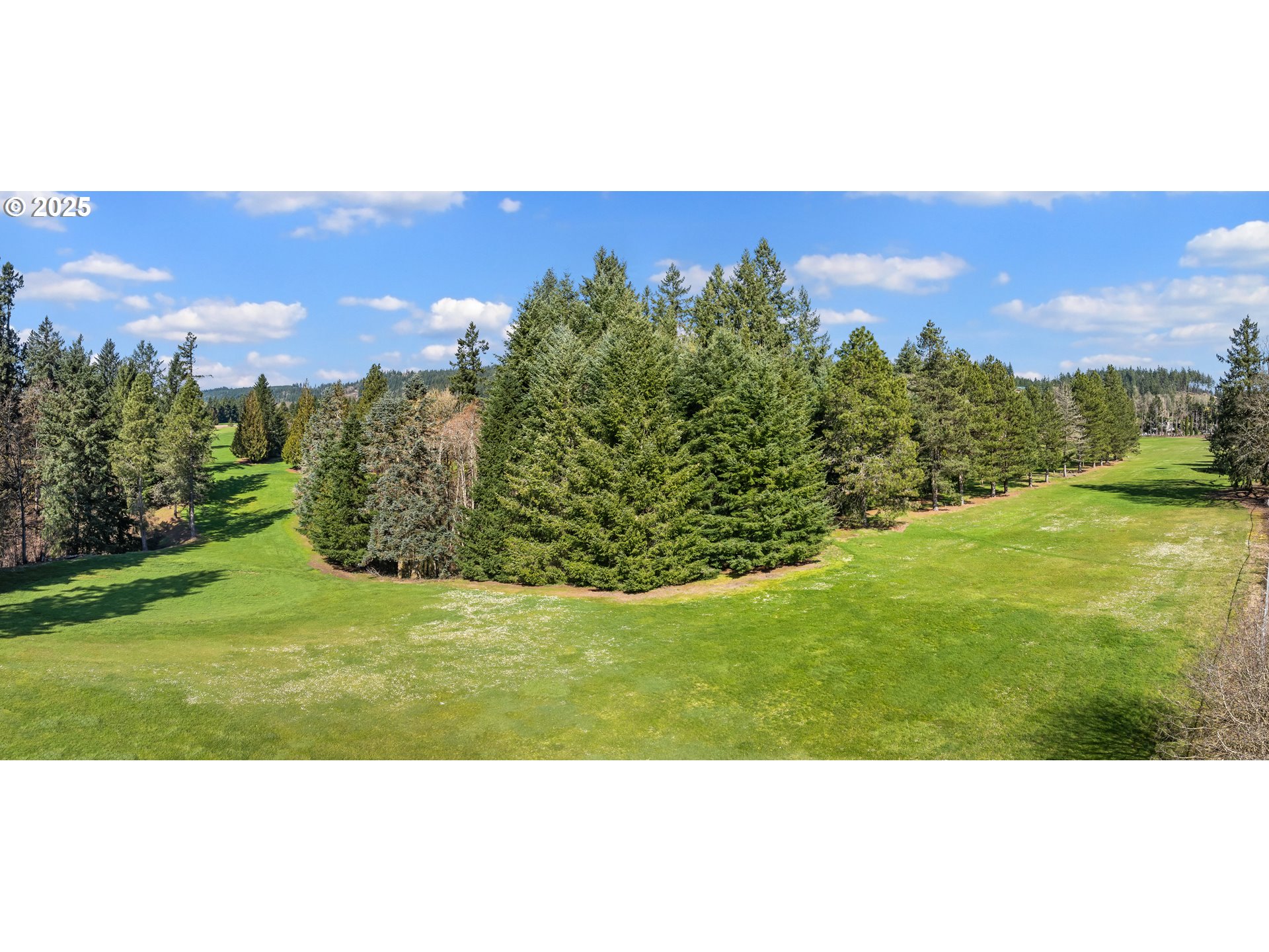 29435 Southwest Mountain Road West Linn, OR 97068 - Photo 30 of 48 a view of a yard