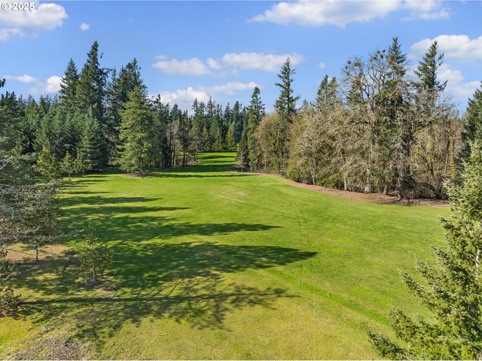 29435 Southwest Mountain Road West Linn, OR 97068 - Photo 47 of 48 a view of a big yard with a large trees