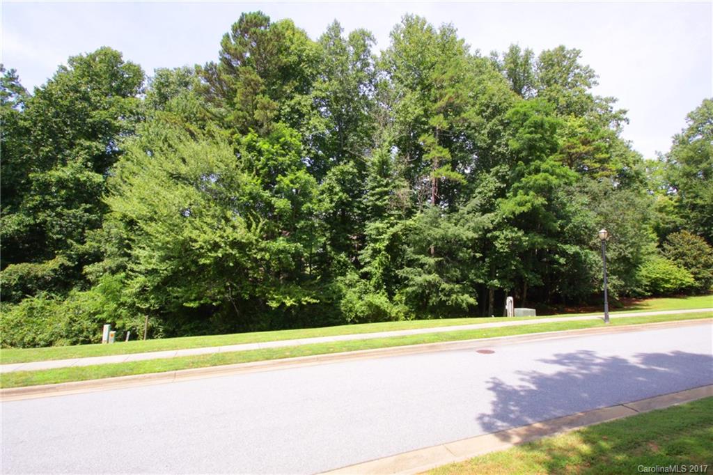 V2 Stonehouse Road Brevard, NC 28712 - Photo 1 of 19 Gallery Image 1