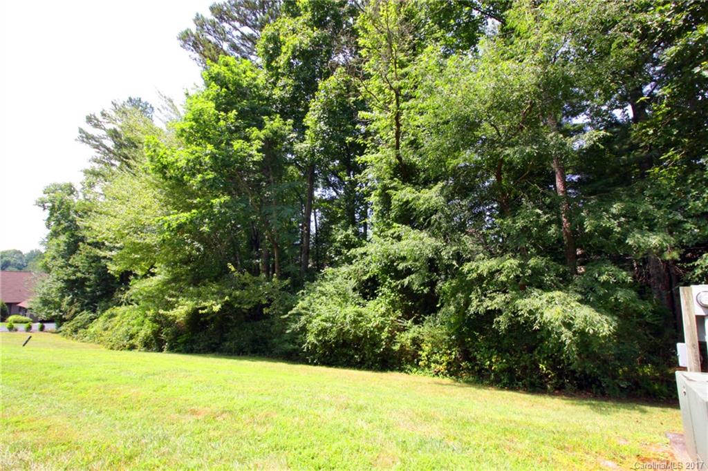 V2 Stonehouse Road Brevard, NC 28712 - Photo 4 of 19 Gallery Image 4