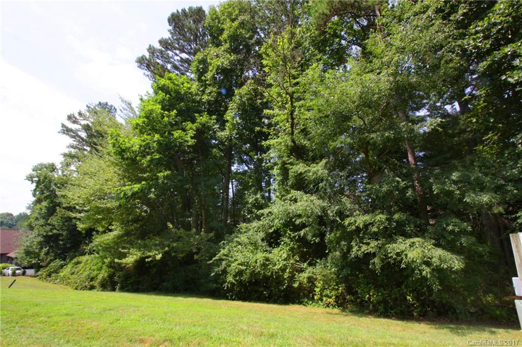 V2 Stonehouse Road Brevard, NC 28712 - Photo 5 of 19 Gallery Image 5