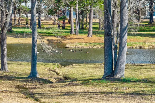 $3,500,000 | 1280 Jewell Road, Jewell, GA 31045