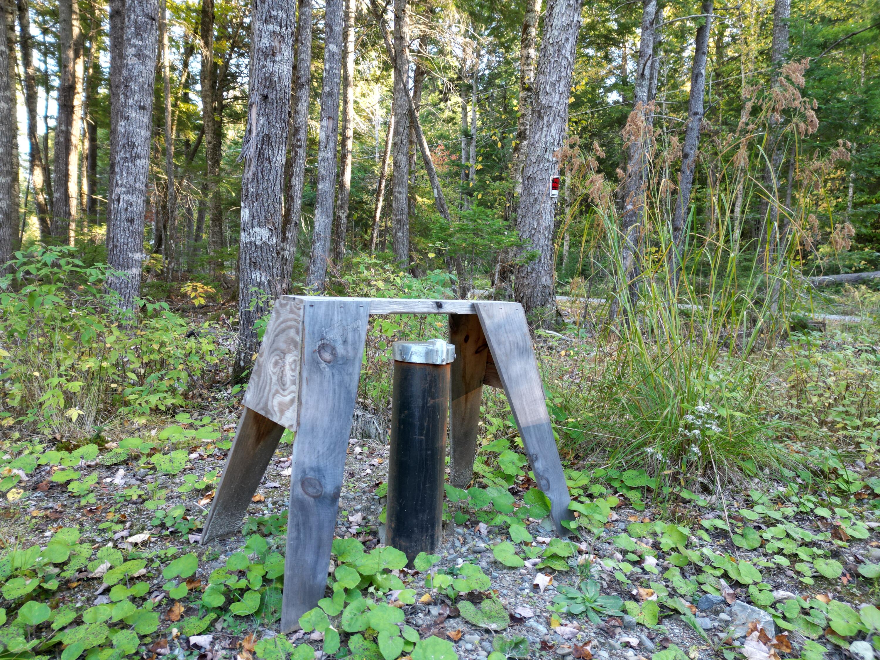 40 Trail End Lincoln, ME 04457 - Photo 24 of 32 DJI_0038