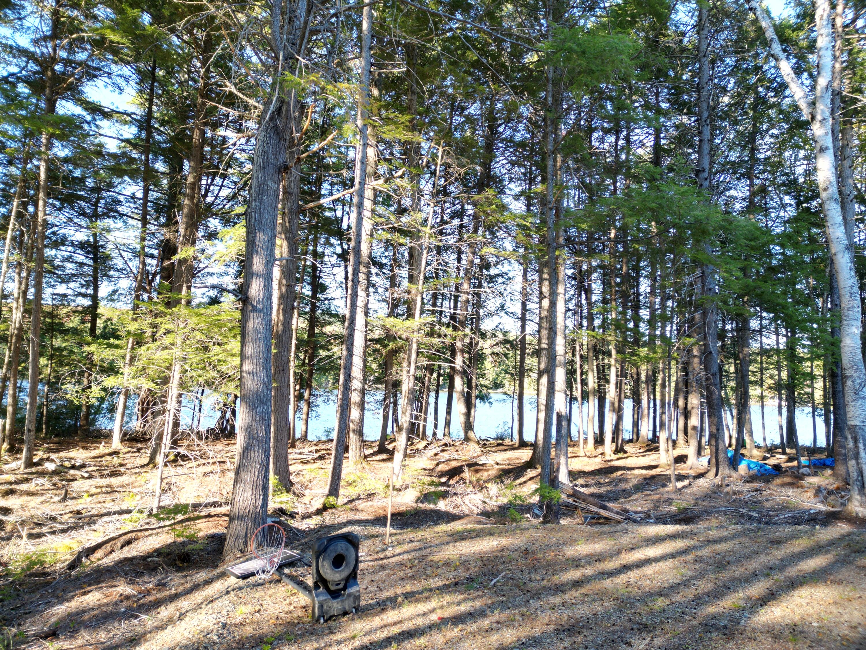 40 Trail End Lincoln, ME 04457 - Photo 30 of 32 DJI_0035