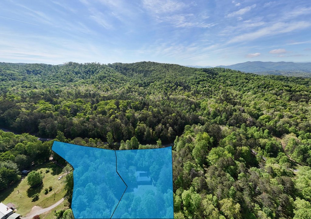 1493 Greasy Creek Road Brasstown, NC 28902 - Photo 43 of 51