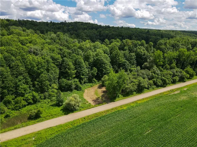 $169,900 | Vl Otis Smith Road, Hunt, NY 14846