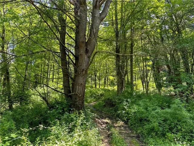 $169,900 | Vl Otis Smith Road, Hunt, NY 14846