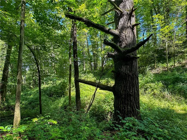 $169,900 | Vl Otis Smith Road, Hunt, NY 14846