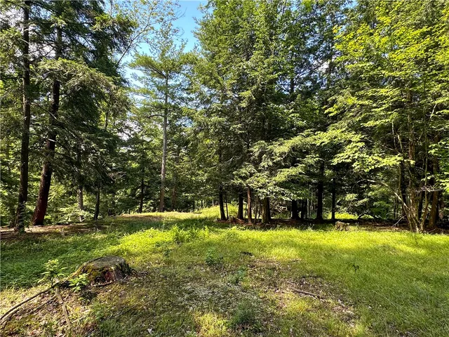 $169,900 | Vl Otis Smith Road, Hunt, NY 14846