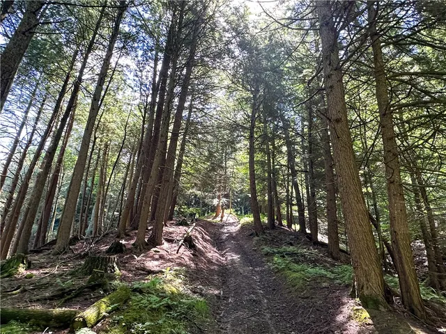 $169,900 | Vl Otis Smith Road, Hunt, NY 14846