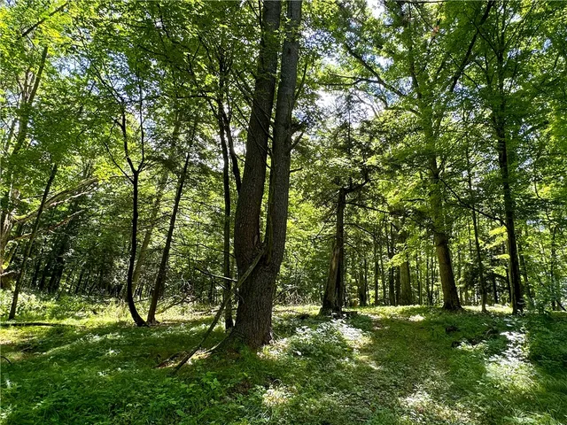 $169,900 | Vl Otis Smith Road, Hunt, NY 14846