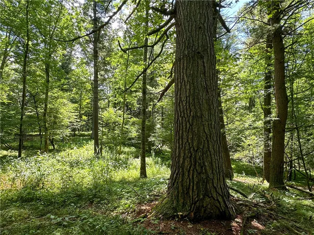 $169,900 | Vl Otis Smith Road, Hunt, NY 14846