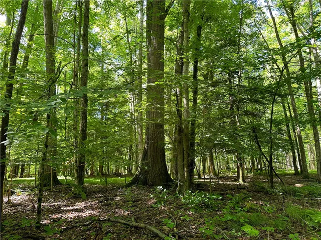 $169,900 | Vl Otis Smith Road, Hunt, NY 14846