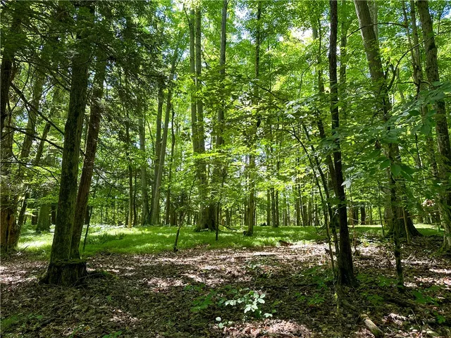 $169,900 | Vl Otis Smith Road, Hunt, NY 14846