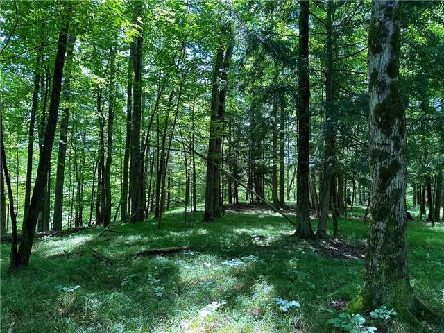 $169,900 | Vl Otis Smith Road, Hunt, NY 14846