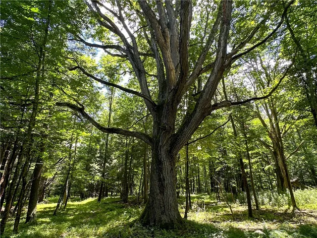 $169,900 | Vl Otis Smith Road, Hunt, NY 14846