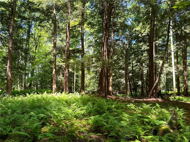 $169,900 | Vl Otis Smith Road, Hunt, NY 14846