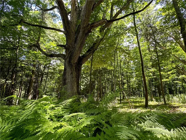 $169,900 | Vl Otis Smith Road, Hunt, NY 14846